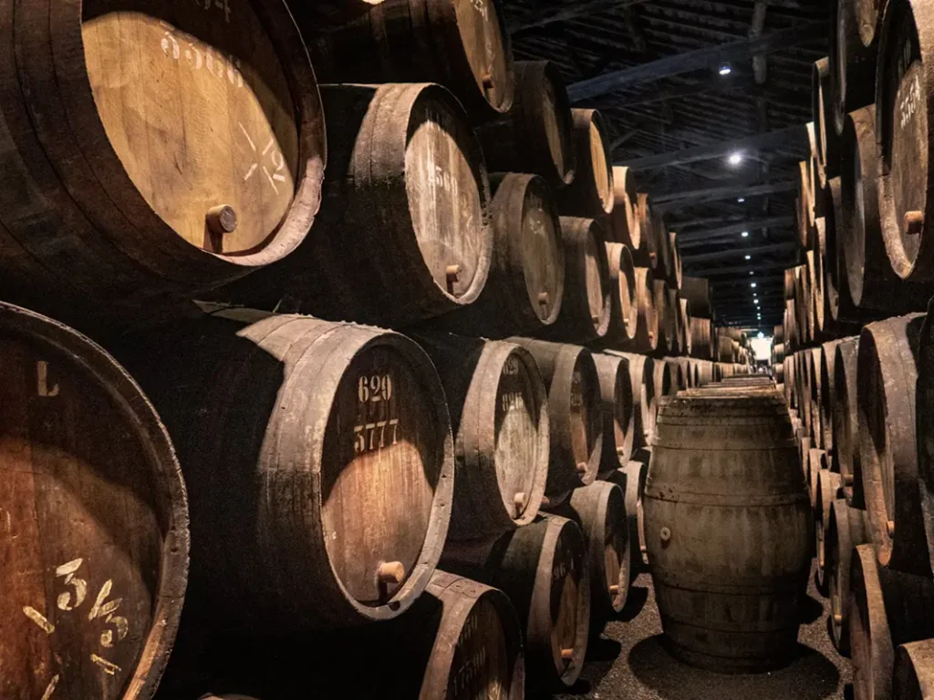 Bodega vinos - Consejos - Veritas